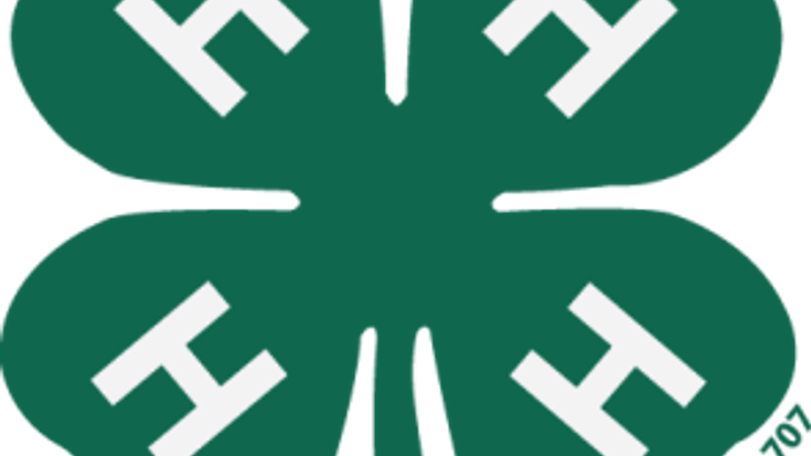 Clover Dash 5k cover