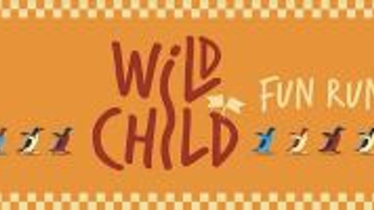 Wild Child Fun Run cover