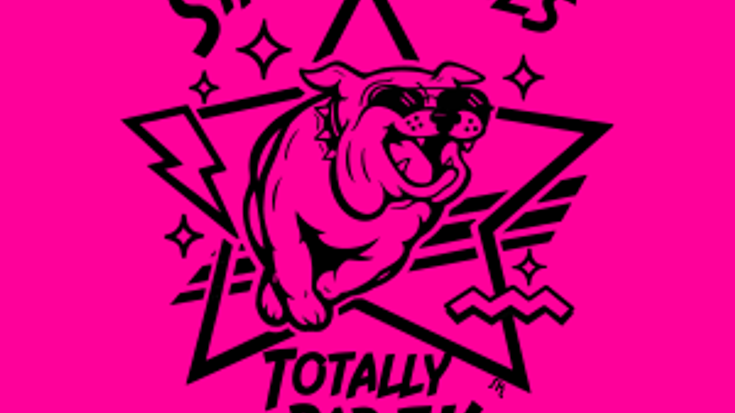 Stars & Spikes: Totally Rad 5k cover