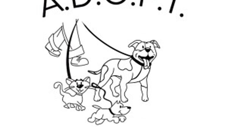 Makin’ Strides for Strays cover