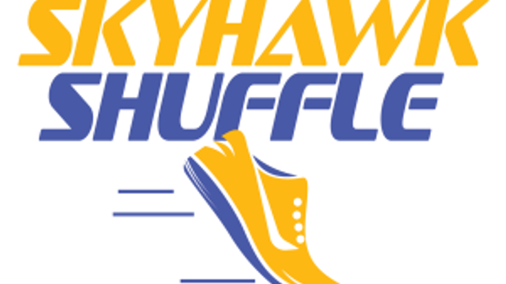 Skyhawk Shuffle cover