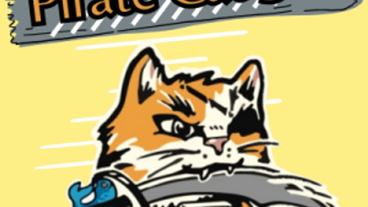 Pirate Cat 5K cover