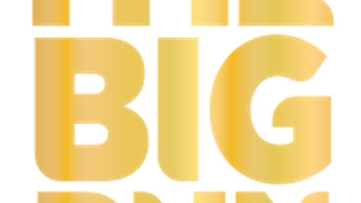 Fleet Feet's The Big Run Presented by Brooks cover