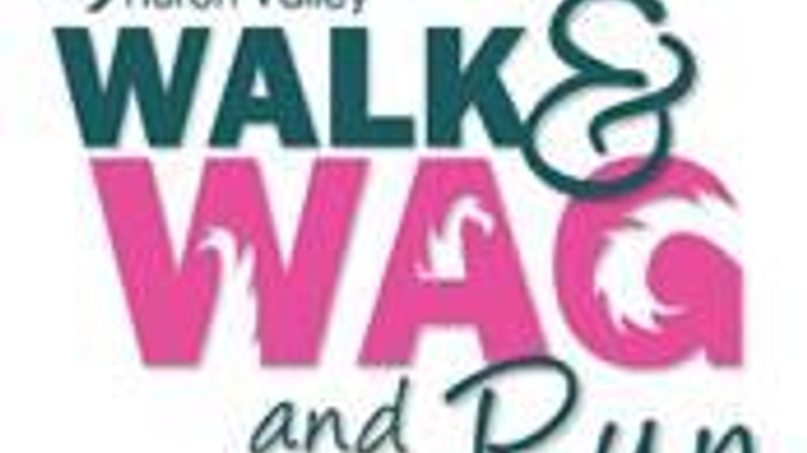 Walk & Wag and Run cover