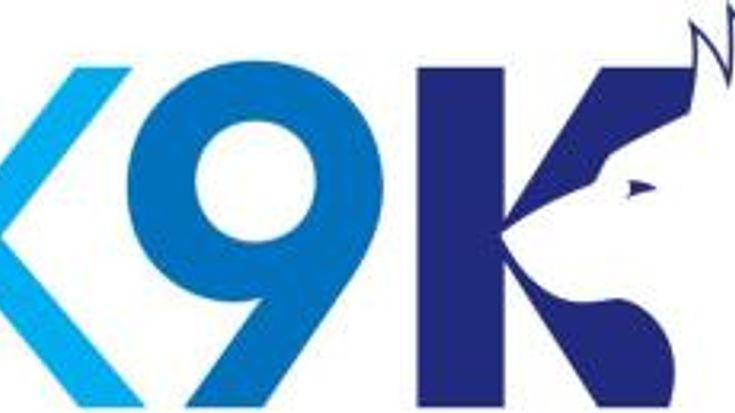 K9K Race cover