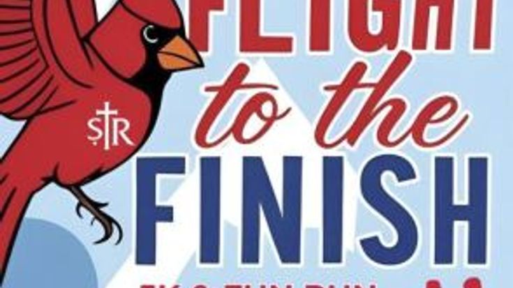 Flight to the Finish cover