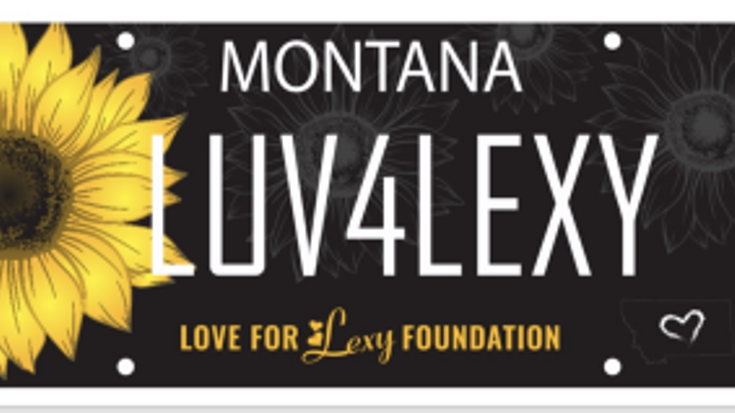 3rd in Annual Love for Lexy's Color Run cover