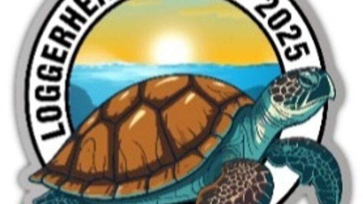 LOGGERHEAD LIFTOFF BEACH RUN cover