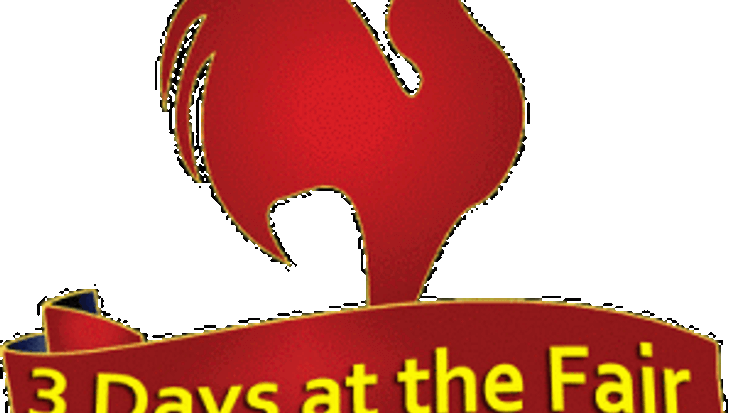 3 Days at the Fair cover