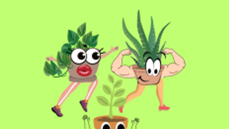 Welcome Home Plants 5k cover