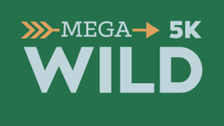 THE MEGA WILD 5K PRESENTED BY REVERENT CHURCH cover