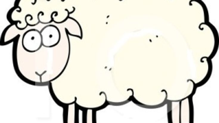 Sheep Shuffle cover