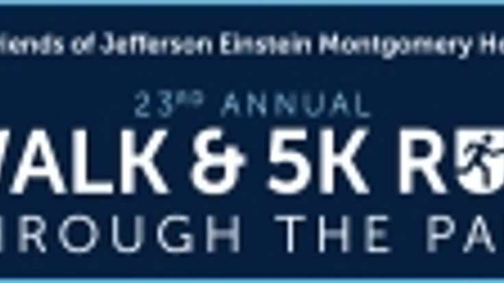 Einstein Walk and Run Through the Park cover
