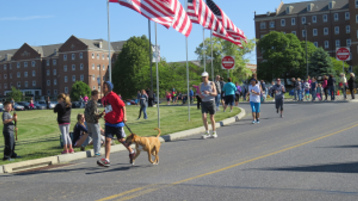 VA5K 39th Annual Memorial Run cover