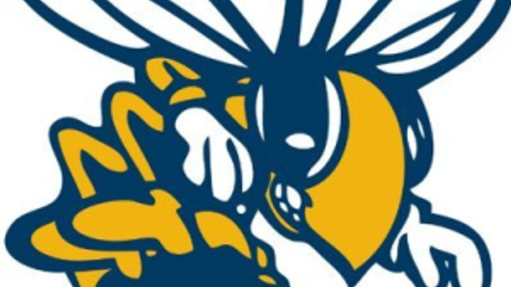 Freeport Flash 5K/10K -  Run/Walk with a Virtual option cover