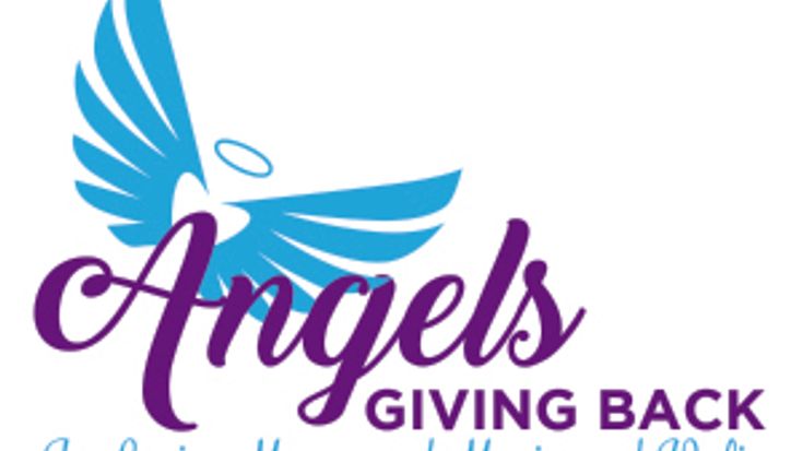 Angels Giving Back Annual 5K cover