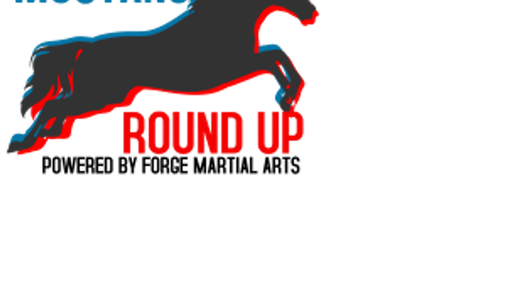 Mustang Round Up cover