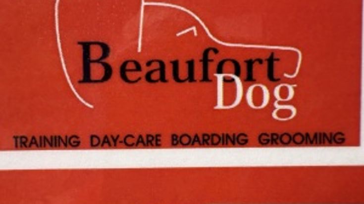Beaufort Dog Obstacle Course Run/Walk 5K cover