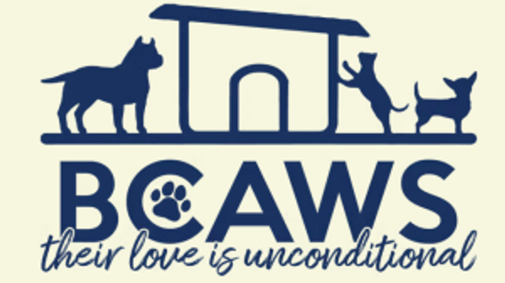 Run for BCAWS! cover