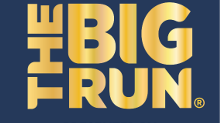 The Big Run Presented by Brooks: Woodbridge cover