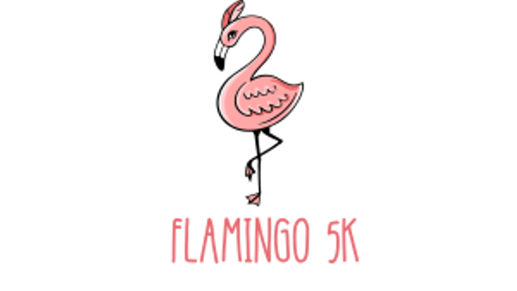 Flamingo 5K Fundraiser for CHS Project Graduation cover