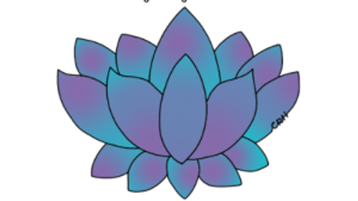 Lotus Run cover