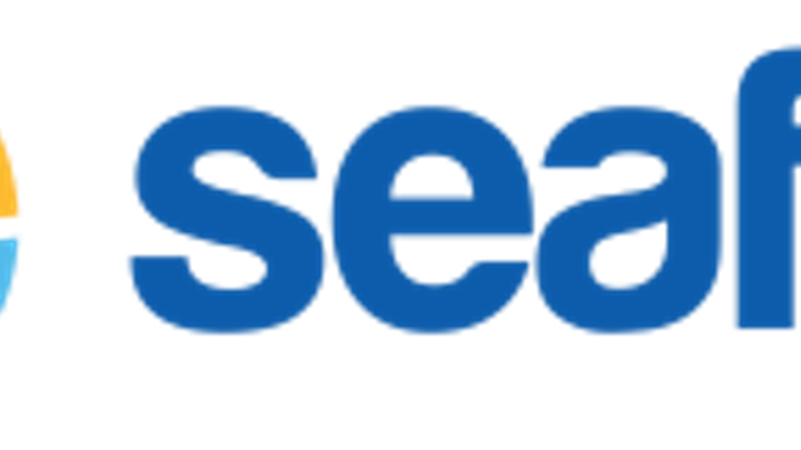 Kaiser Permanente Seafair Torchlight Run cover