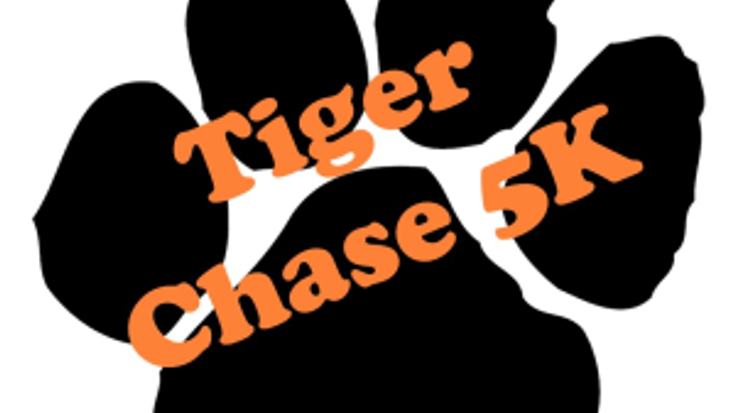 Tiger Chase cover