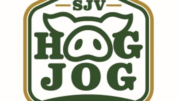 St. John Vianney Hog Jog cover