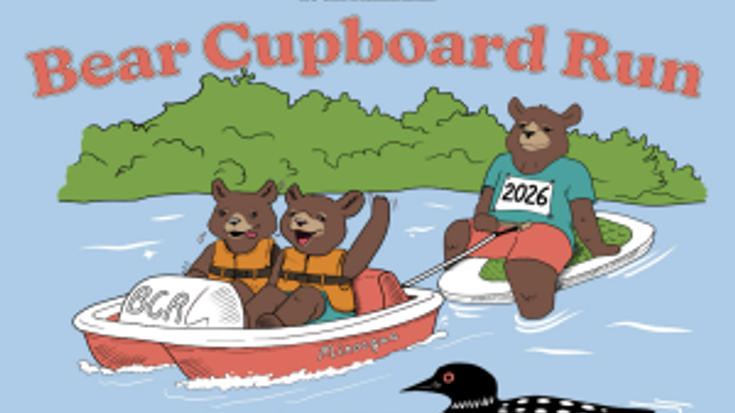 Bear Cupboard Run cover