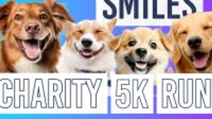 SOLVAY "Miles for Smiles" 5k Run/walk Fundraiser cover
