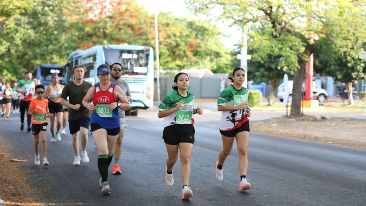 27 Carrera de la Contaduría Pública cover