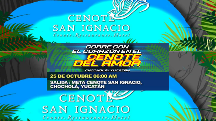 CENOTE SAN IGNACIO cover