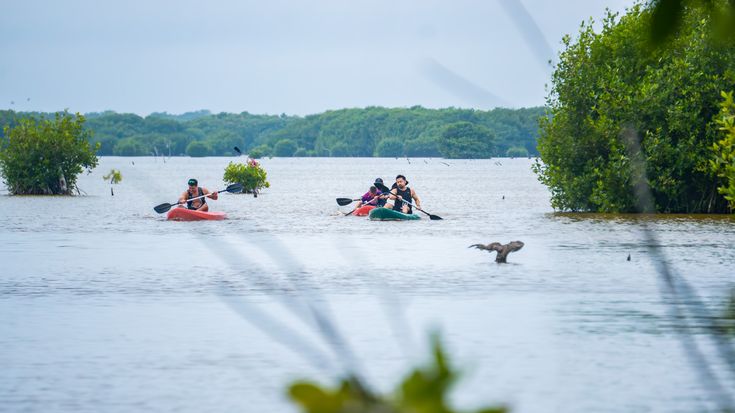 Reto AYIM Sisal cover