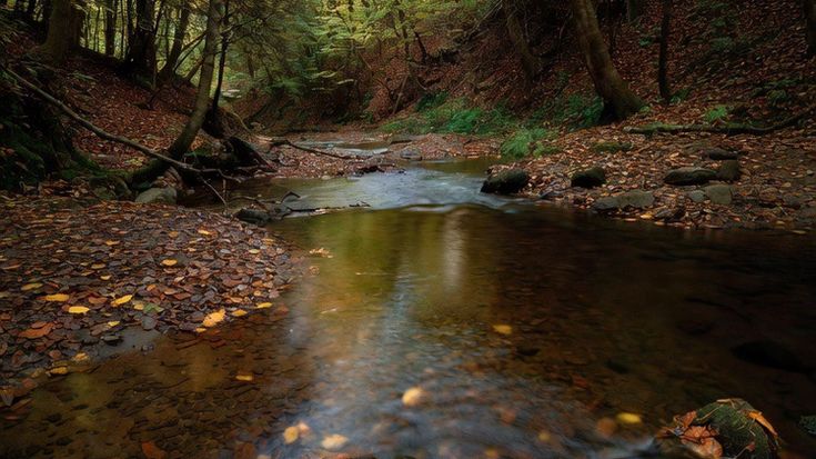 Creek cover