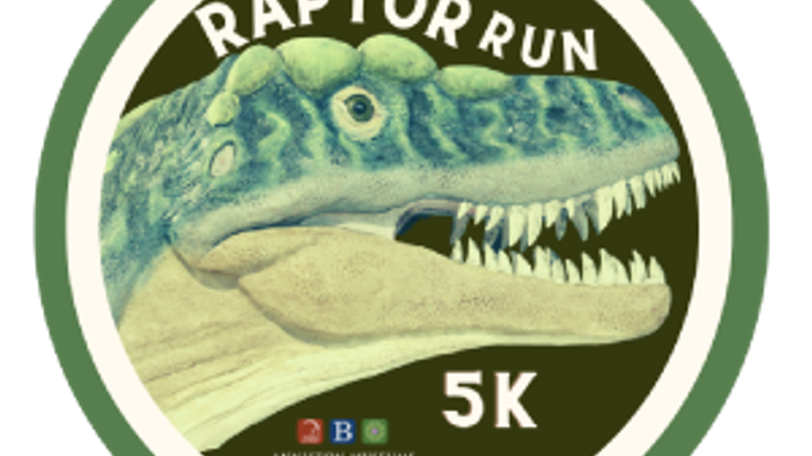 Raptor Run cover