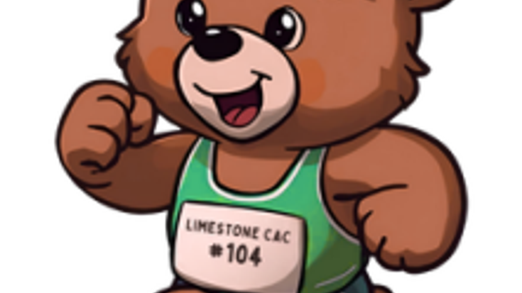 Teddy Bear 5k cover