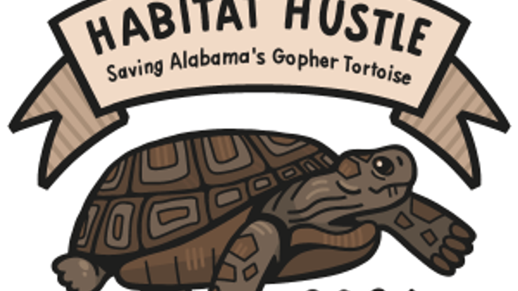 Habitat Hustle: Saving Alabama's Gopher Tortoise cover