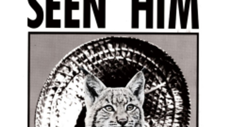 Wildcat Summer Cup - July 5K cover