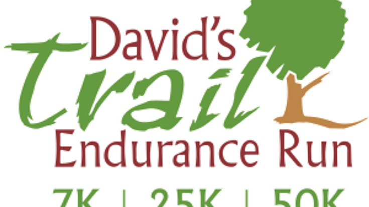David's Trail Endurance Run cover