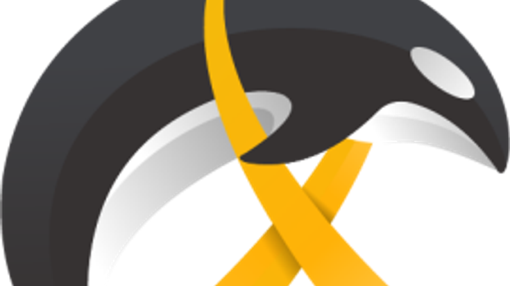 2026 Go for Gold cover