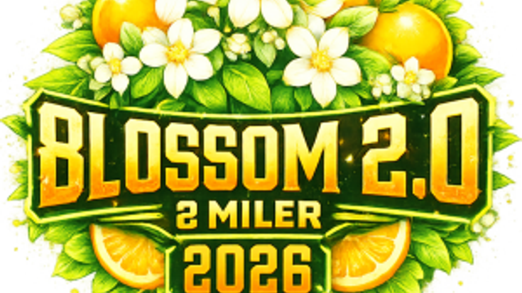 blossom 2.0 cover