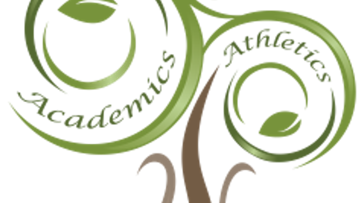 REACH Foundation Shamrock 'n Run cover