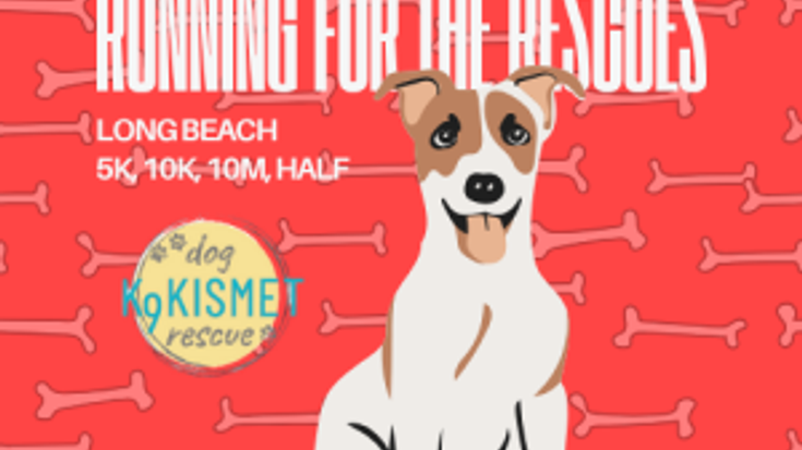 Running for the Rescues – 5K, 10K, 10-Miler, Half Marathon cover