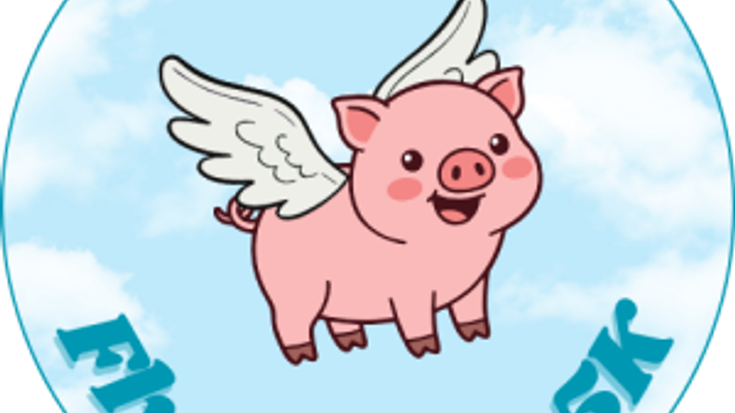 2026 Flying Pig 5K cover