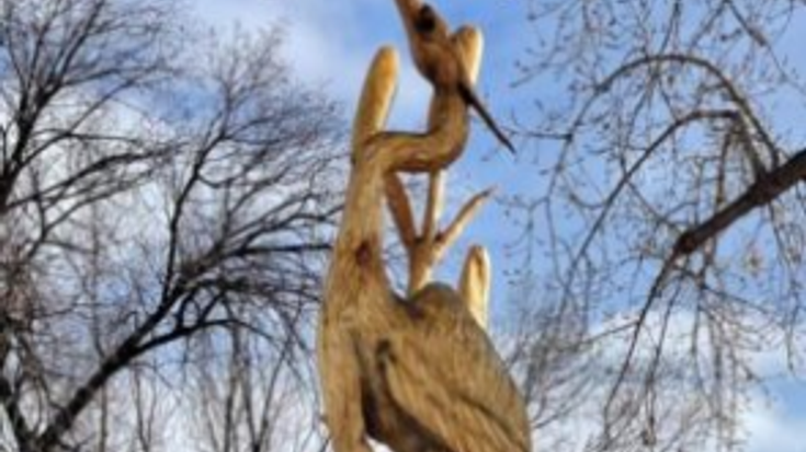 Blue Heron Half & 5K cover