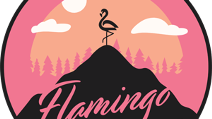 Flamingo Day 5K cover
