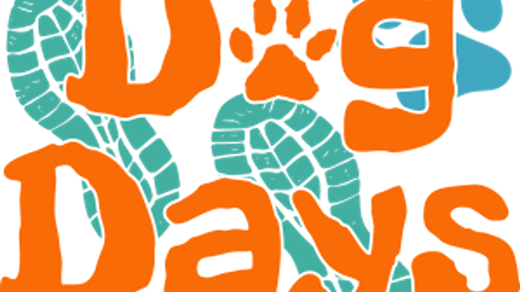 All-Out Dog Days cover