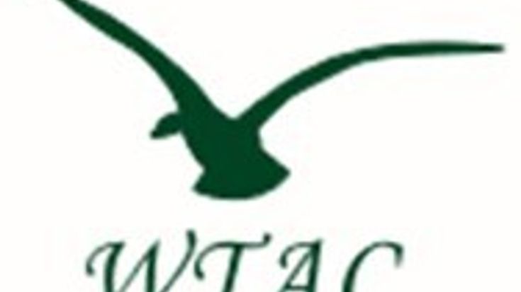 Stonington Cross Country 5K cover