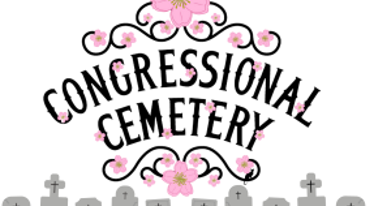 Cherry Blossom 5K cover